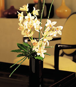  Hakkari internetten iek sat  cam yada mika vazo ierisinde dal orkide