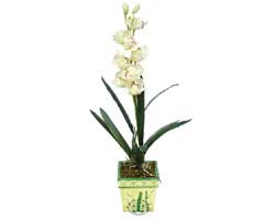 zel Yapay Orkide Beyaz   Hakkari yurtii ve yurtd iek siparii 