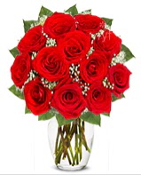 12 adet vazoda kıpkırmızı gül  Hakkari online çiçek gönderme sipariş 