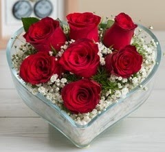 Kalp içerisinde 7 adet kırmızı gül  Hakkari İnternetten çiçek siparişi 
